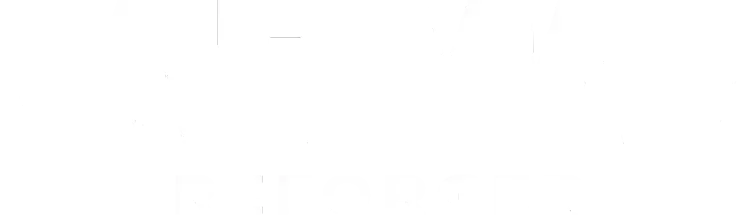 Arma Reforger Logo